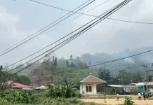 Kabut Asap Sorong Makin Terasa, Lakukan Langkah Ini agar Terlindungi