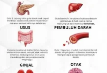 Gula, Tepung, dan Gorengan Berlebihan, Organ Tubuh Mana yang Paling Terdampak?
