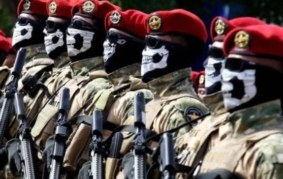 31 Maret: Sejarah Panjang Terbentuknya Kopaska TNI AL - RRI.co.id
