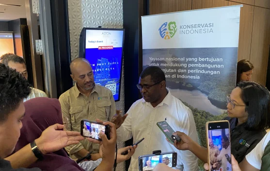 Pemprov PBD Siapkan Skema Karbon, Dorong Peluang Ekonomi dari Pelestarian Hutan