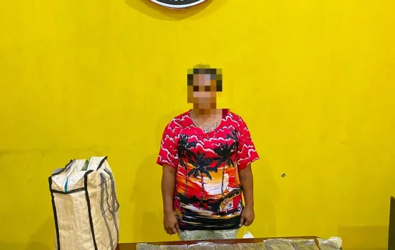 Seorang Wanita Diamankan Satresnarkoba Polresta, Terbukti Bawa 597 gram Ganja