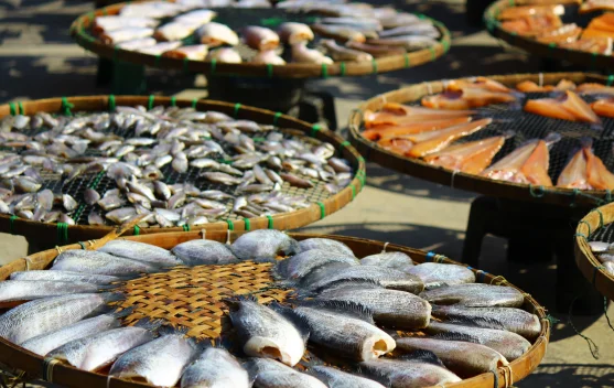 Ikan Air Asin vs Air Tawar: Mana yang Lebih Sehat untuk Dikonsumsi?