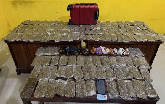 Satresnarkoba Polresta Sorong Kota Gagalkan Peredaran 5,4 Kilogram Ganja