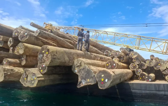 Koarmada III Berhasil Gagalkan Dugaan Pelanggaran Pengangkutan Kayu Log
