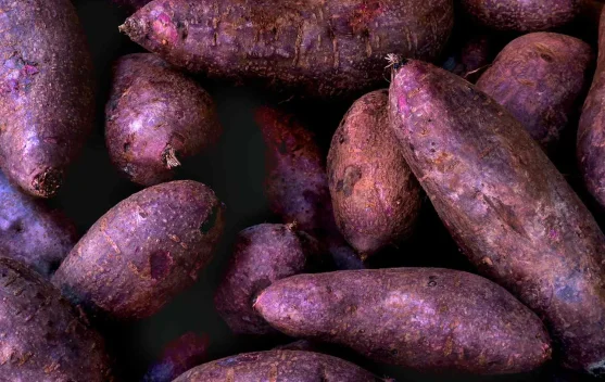 Ube dan Ubi Ungu ternyata Berbeda, Ini Cara Membedakannya