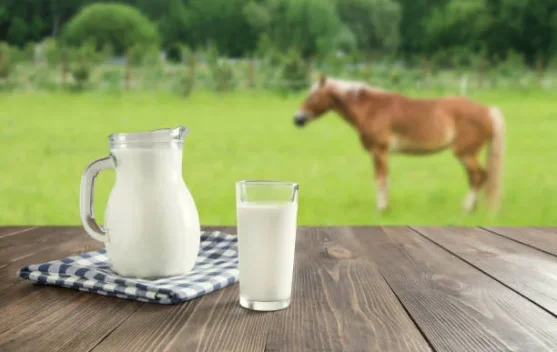 Susu Sapi vs Susu Kuda: Mana Lebih Sehat Menurut Pakar