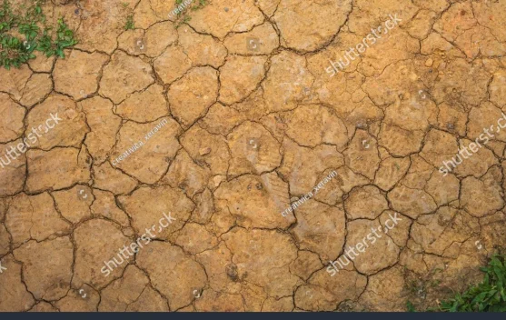 Kemarau Panjang El Nino Tiba, Waspadai Deretan Penyakit Mengintai Ini
