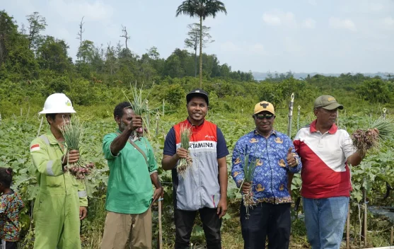 Ukir Sejarah Kemandirian Pangan Papua, Kilang Kasim Dampingi Petani Klayas