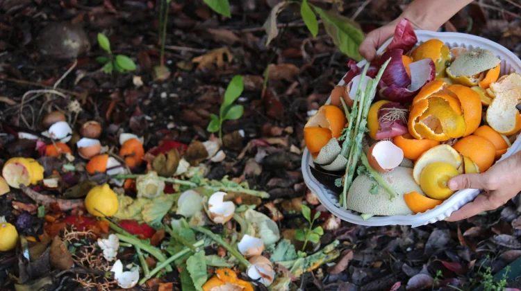 Yuk! Diet Sampah di Bulan Ramadan