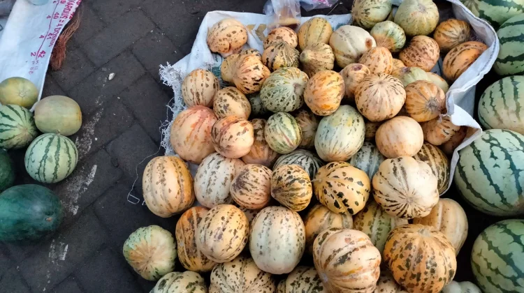 Harga Buah Blewah di Sumenep Merangkak Naik Awal Ramadan