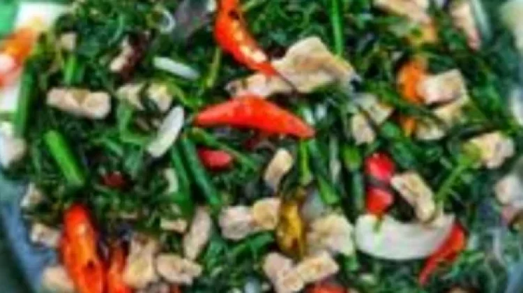 Tumis Pakis Pedas Manis Temani Sahur dan Berbuka