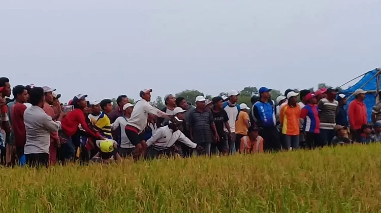 NGABUBURIT LOMBA BURUNG DARA