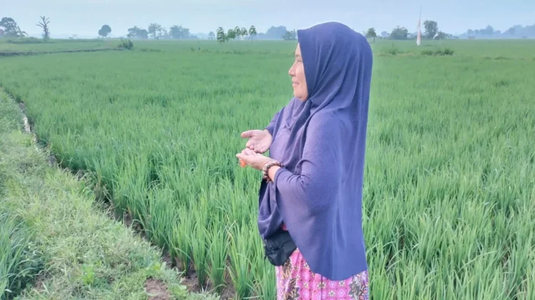 Jalan Kaki di Pedesaan Tingkatkan Imun Tubuh