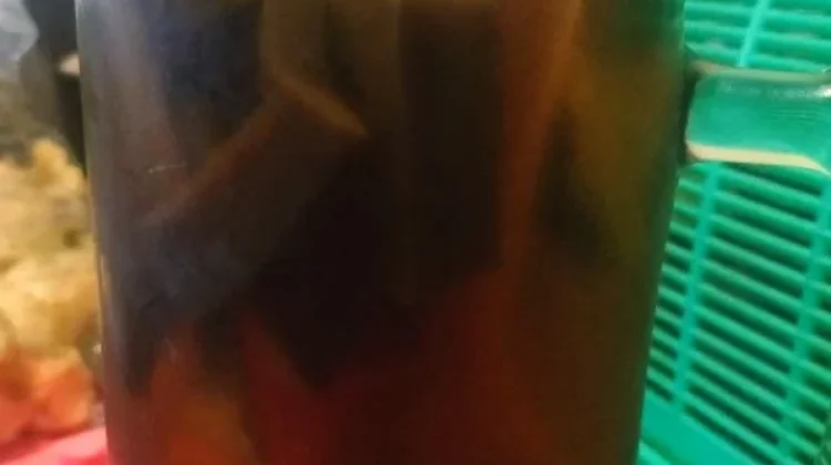 Segarnya Es Cincau Hitam, Pelepas Dahaga Favorit Ramadan