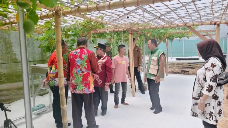 Pemkab Sumenep Perluas Pengembangan Sektor Perkebunan
