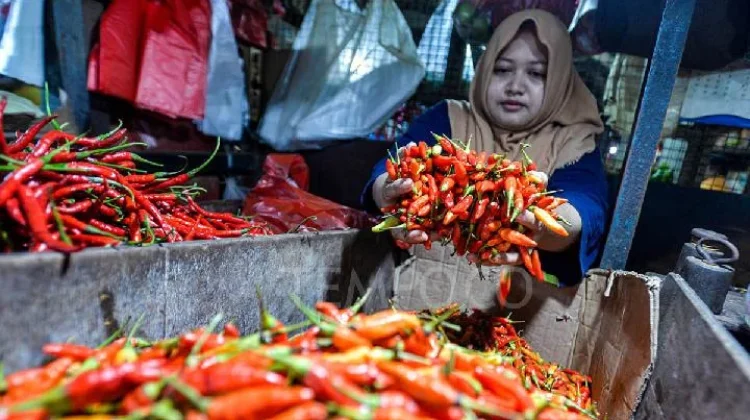 Harga Cabai Rawit Picu Inflasi Bulanan Sumenep