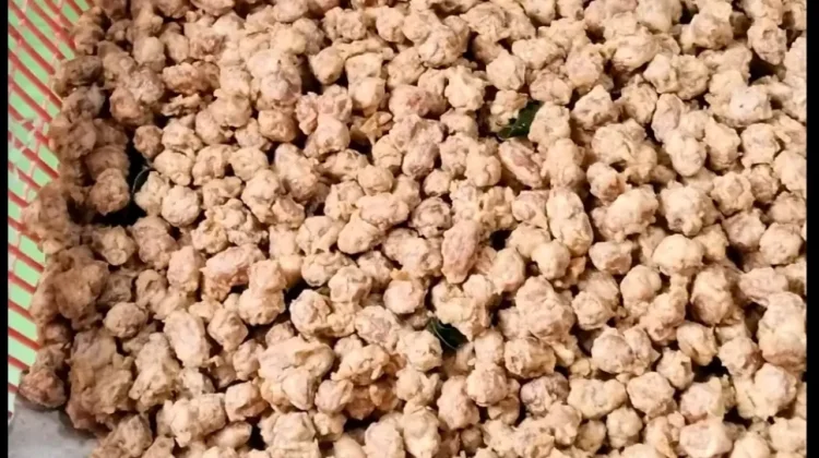 Kacang Kribo, Camilan Lezat Hanya Modal Ribuan