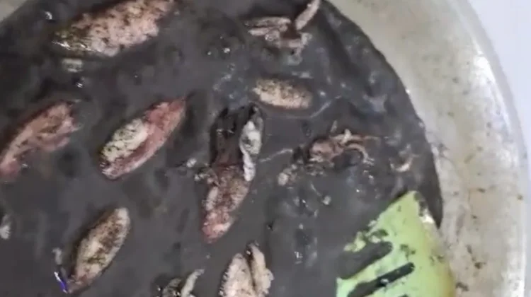Cumi Hitam Khas Madura Jadi Buruan Pecinta Kuliner Tradisional