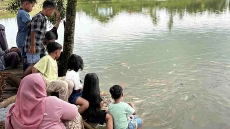 Wisata Koi Telaga Galisan, Destinasi Santai yang Cocok untuk Lebaran Ketupat 2026
