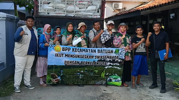 Produksi Gabah Sumenep Meningkat pada Periode Januari–Mei 2026