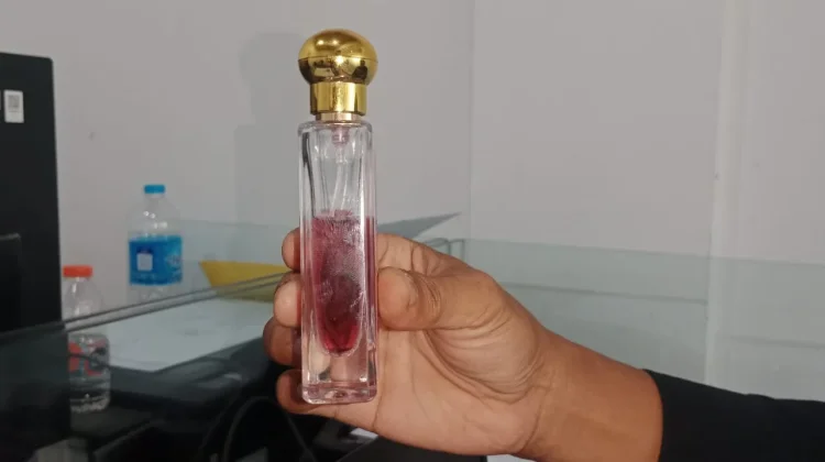 Minyak Burung Bubut Dipercaya Miliki Banyak Khasiat