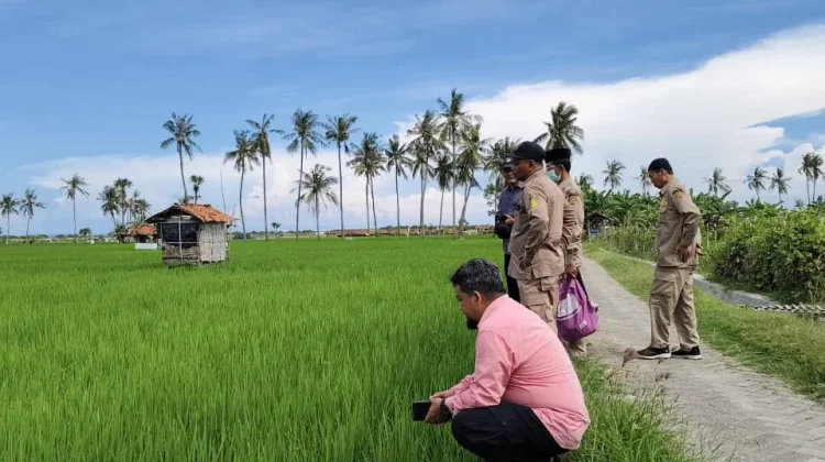 Mitigasi Kekeringan, Penyuluh Jadi Garda Depan