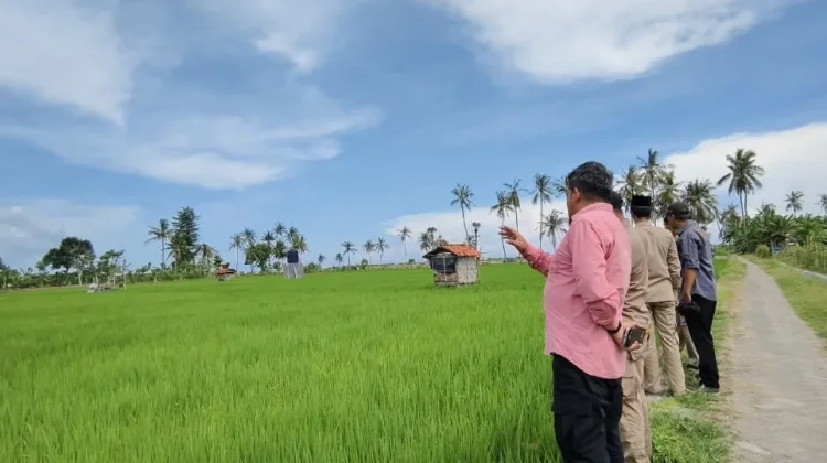 Kementan Tekankan Antisipasi El Nino Ekstrem