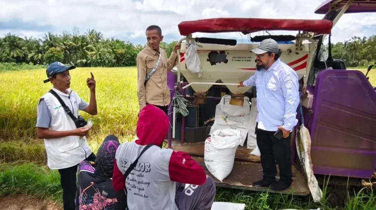 Program Sergab 2026 Perdana Digelar di Sumenep, Serapan Gabah Lampaui Target