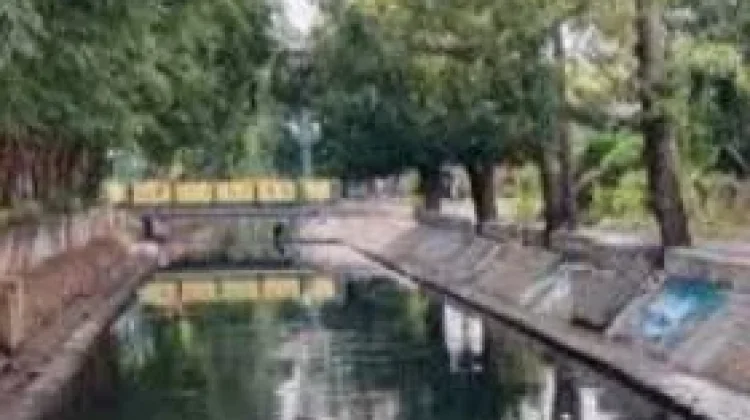 Warga Diimbau Waspadai Konsumsi Ikan Sapu-Sapu Sungai