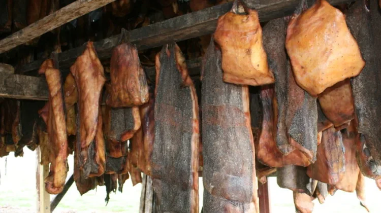 Makanan Ekstrem yang Justru Menjadi Favorit Masyarakat Lokal