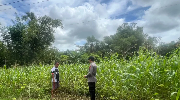 Polsek Batuputih Kawal Ketahanan Pangan dengan Monitoring Program P2B