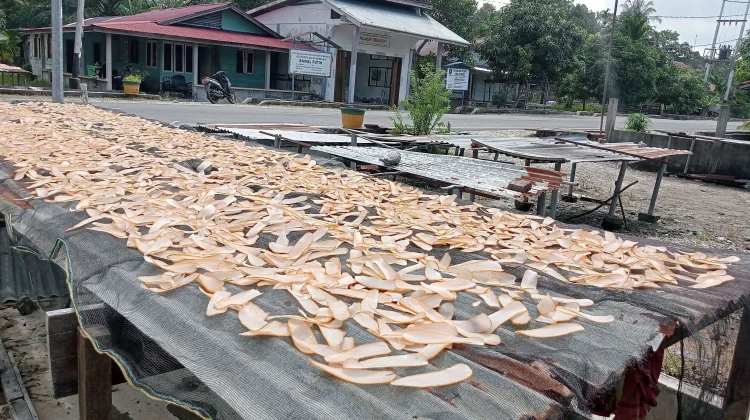Usaha Kerupuk Ikan Jadi Andalan Warga Pinggirpapas, Perkuat Ekonomi Pesisir
