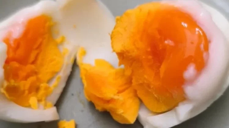 Telur Kampung Omega Kaya Nutrisi Pilihan Sehat Keluarga