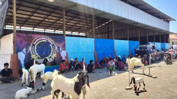 Teknik Sederhana Kurangi Bau Kambing saat Dimasak