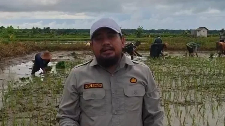 Dorong Swasembada, Kementan Gencarkan Tanam Serentak di Sumenep