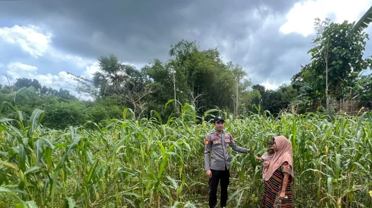 Polsek Batuputih Dukung Ketahanan Pangan di Wilayah Hukumnya