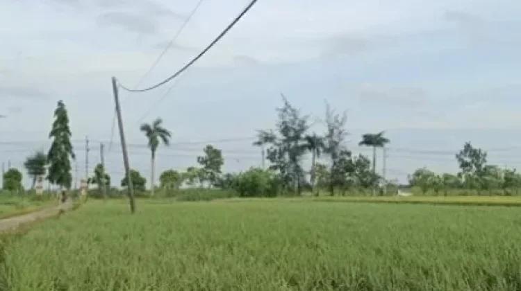 Sumenep Didominasi Cerah Berawan, Waspada Hujan Ringan di Kepulauan