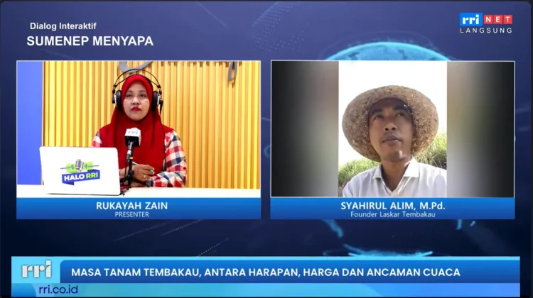 Petani Tembakau Sumenep Siap Tanam, Biaya Naik Jadi Tantangan