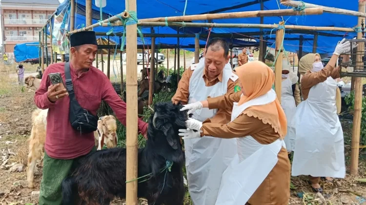 DKPP Sumenep Pastikan Hewan Kurban di Lapak Penjualan Layak dan Sehat