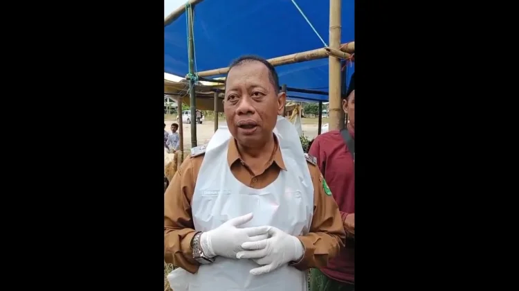 DKPP Sumenep Imbau Masyarakat Teliti Memilih Hewan Kurban