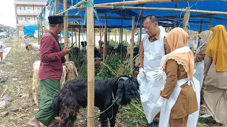 DKPP Sumenep Temukan Kasus Orf saat Pengawasan Hewan Kurban