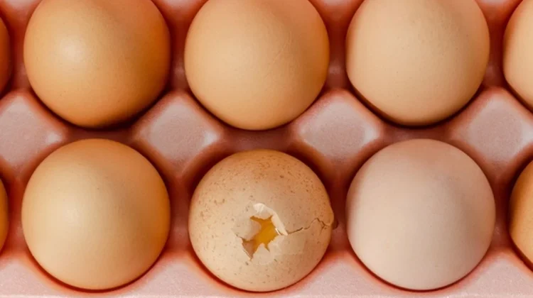 Telur Retak di Kulkas, Masih Aman atau Harus Dibuang?