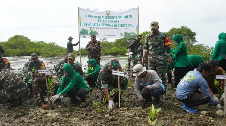 Kodim Sumenep Tanam 3.500 Mangrove Cegah Abrasi di Pantai Kundang
