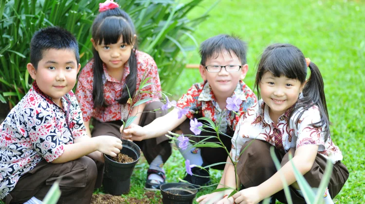 Menjaga Lingkungan Dimulai dari Kebiasaan Sederhana
