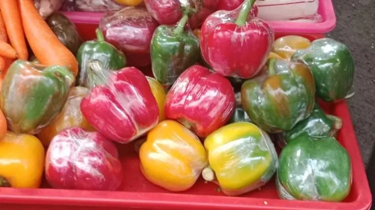 Paprika di Dapur Rumahan, Dari Tumisan Warna-Warni hingga Camilan Kekinian