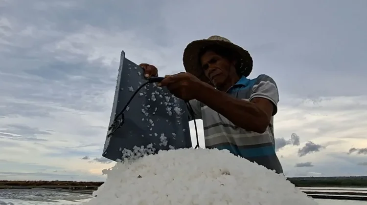 Dinas Perikanan Sumenep Soroti Dampak Garam Impor terhadap Petani Lokal