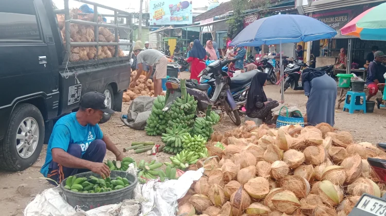 Musim Resepsi Ramai Digelar, Harga Kelapa di Sumenep Stabil