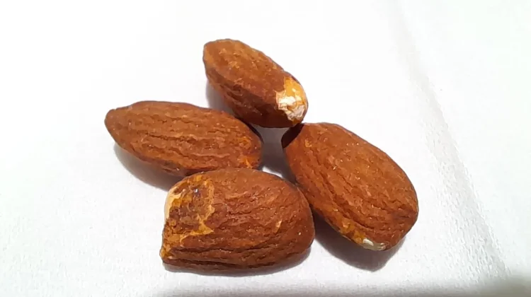 Mengapa Kacang Almond Jadi 'Sahabat Terbaik' untuk Diet Sehat? Ini Rahasianya!
