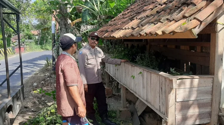 Polsek Batuputih Monitoring Peternakan Kambing Warga