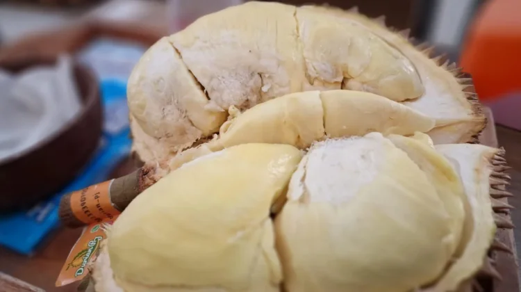 Kaya Antioksidan, Ini Manfaat Durian Cegah Kanker hingga Jantung